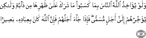 وَلَوْ يُؤَاخِذُ اللَّهُ النَّاسَ بِمَا كَسَبُوا مَا تَرَكَ عَلَىٰ ظَهْرِهَا مِنْ دَابَّةٍ وَلَٰكِنْ يُؤَخِّرُهُمْ إِلَىٰ أَجَلٍ مُسَمًّى ۖ فَإِذَا جَاءَ أَجَلُهُمْ فَإِنَّ اللَّهَ كَانَ بِعِبَادِهِ بَصِيرًا