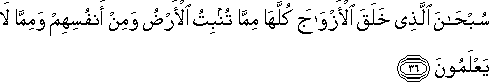 سُبْحَانَ الَّذِي خَلَقَ الْأَزْوَاجَ كُلَّهَا مِمَّا تُنْبِتُ الْأَرْضُ وَمِنْ أَنْفُسِهِمْ وَمِمَّا لَا يَعْلَمُونَ