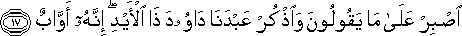 اصْبِرْ عَلَىٰ مَا يَقُولُونَ وَاذْكُرْ عَبْدَنَا دَاوُودَ ذَا الْأَيْدِ ۖ إِنَّهُ أَوَّابٌ