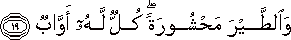وَالطَّيْرَ مَحْشُورَةً ۖ كُلٌّ لَهُ أَوَّابٌ وَالطَّيْرَ مَحْشُورَةً ۖ كُلٌّ لَهُ أَوَّابٌ