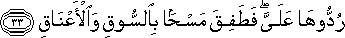 رُدُّوهَا عَلَيَّ ۖ فَطَفِقَ مَسْحًا بِالسُّوقِ وَالْأَعْنَاقِ