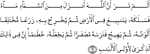 أَلَمْ تَرَ أَنَّ اللَّهَ أَنْزَلَ مِنَ السَّمَاءِ مَاءً فَسَلَكَهُ يَنَابِيعَ فِي الْأَرْضِ ثُمَّ يُخْرِجُ بِهِ زَرْعًا مُخْتَلِفًا أَلْوَانُهُ ثُمَّ يَهِيجُ فَتَرَاهُ مُصْفَرًّا ثُمَّ يَجْعَلُهُ حُطَامًا ۚ إِنَّ فِي ذَٰلِكَ لَذِكْرَىٰ لِأُولِي الْأَلْبَابِ