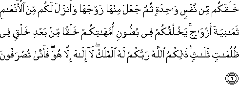 خَلَقَكُمْ مِنْ نَفْسٍ وَاحِدَةٍ ثُمَّ جَعَلَ مِنْهَا زَوْجَهَا وَأَنْزَلَ لَكُمْ مِنَ الْأَنْعَامِ ثَمَانِيَةَ أَزْوَاجٍ ۚ يَخْلُقُكُمْ فِي بُطُونِ أُمَّهَاتِكُمْ خَلْقًا مِنْ بَعْدِ خَلْقٍ فِي ظُلُمَاتٍ ثَلَاثٍ ۚ ذَٰلِكُمُ اللَّهُ رَبُّكُمْ لَهُ الْمُلْكُ ۖ لَا إِلَٰهَ إِلَّا هُوَ ۖ فَأَنَّىٰ تُصْرَفُونَ