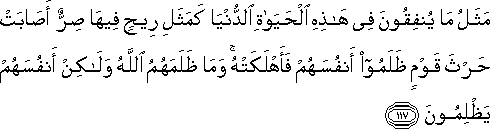 مَثَلُ مَا يُنْفِقُونَ فِي هَٰذِهِ الْحَيَاةِ الدُّنْيَا كَمَثَلِ رِيحٍ فِيهَا صِرٌّ أَصَابَتْ حَرْثَ قَوْمٍ ظَلَمُوا أَنْفُسَهُمْ فَأَهْلَكَتْهُ ۚ وَمَا ظَلَمَهُمُ اللَّهُ وَلَٰكِنْ أَنْفُسَهُمْ يَظْلِمُونَ