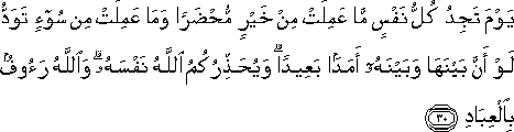 يَوْمَ تَجِدُ كُلُّ نَفْسٍ مَا عَمِلَتْ مِنْ خَيْرٍ مُحْضَرًا وَمَا عَمِلَتْ مِنْ سُوءٍ تَوَدُّ لَوْ أَنَّ بَيْنَهَا وَبَيْنَهُ أَمَدًا بَعِيدًا ۗ وَيُحَذِّرُكُمُ اللَّهُ نَفْسَهُ ۗ وَاللَّهُ رَءُوفٌ بِالْعِبَادِ