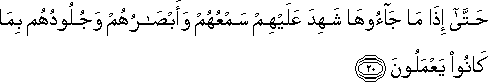 حَتَّىٰ إِذَا مَا جَاءُوهَا شَهِدَ عَلَيْهِمْ سَمْعُهُمْ وَأَبْصَارُهُمْ وَجُلُودُهُمْ بِمَا كَانُوا يَعْمَلُونَ