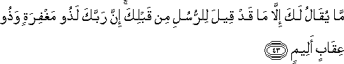 مَا يُقَالُ لَكَ إِلَّا مَا قَدْ قِيلَ لِلرُّسُلِ مِنْ قَبْلِكَ ۚ إِنَّ رَبَّكَ لَذُو مَغْفِرَةٍ وَذُو عِقَابٍ أَلِيمٍ