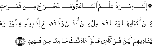 إِلَيْهِ يُرَدُّ عِلْمُ السَّاعَةِ ۚ وَمَا تَخْرُجُ مِنْ ثَمَرَاتٍ مِنْ أَكْمَامِهَا وَمَا تَحْمِلُ مِنْ أُنْثَىٰ وَلَا تَضَعُ إِلَّا بِعِلْمِهِ ۚ وَيَوْمَ يُنَادِيهِمْ أَيْنَ شُرَكَائِي قَالُوا آذَنَّاكَ مَا مِنَّا مِنْ شَهِيدٍ