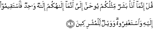 قُلْ إِنَّمَا أَنَا بَشَرٌ مِثْلُكُمْ يُوحَىٰ إِلَيَّ أَنَّمَا إِلَٰهُكُمْ إِلَٰهٌ وَاحِدٌ فَاسْتَقِيمُوا إِلَيْهِ وَاسْتَغْفِرُوهُ ۗ وَوَيْلٌ لِلْمُشْرِكِينَ