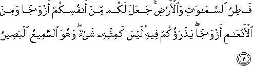 فَاطِرُ السَّمَاوَاتِ وَالْأَرْضِ ۚ جَعَلَ لَكُمْ مِنْ أَنْفُسِكُمْ أَزْوَاجًا وَمِنَ الْأَنْعَامِ أَزْوَاجًا ۖ يَذْرَؤُكُمْ فِيهِ ۚ لَيْسَ كَمِثْلِهِ شَيْءٌ ۖ وَهُوَ السَّمِيعُ الْبَصِيرُ