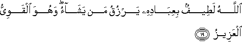 اللَّهُ لَطِيفٌ بِعِبَادِهِ يَرْزُقُ مَنْ يَشَاءُ ۖ وَهُوَ الْقَوِيُّ الْعَزِيزُ