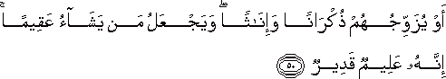 أَوْ يُزَوِّجُهُمْ ذُكْرَانًا وَإِنَاثًا ۖ وَيَجْعَلُ مَنْ يَشَاءُ عَقِيمًا ۚ إِنَّهُ عَلِيمٌ قَدِيرٌ أَوْ يُزَوِّجُهُمْ ذُكْرَانًا وَإِنَاثًا ۖ وَيَجْعَلُ مَنْ يَشَاءُ عَقِيمًا ۚ إِنَّهُ عَلِيمٌ قَدِيرٌ