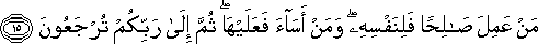 مَنْ عَمِلَ صَالِحًا فَلِنَفْسِهِ ۖ وَمَنْ أَسَاءَ فَعَلَيْهَا ۖ ثُمَّ إِلَىٰ رَبِّكُمْ تُرْجَعُونَ