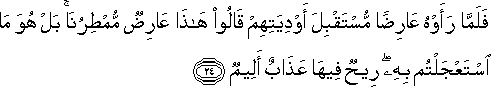 فَلَمَّا رَأَوْهُ عَارِضًا مُسْتَقْبِلَ أَوْدِيَتِهِمْ قَالُوا هَٰذَا عَارِضٌ مُمْطِرُنَا ۚ بَلْ هُوَ مَا اسْتَعْجَلْتُمْ بِهِ ۖ رِيحٌ فِيهَا عَذَابٌ أَلِيمٌ