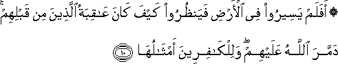 أَفَلَمْ يَسِيرُوا فِي الْأَرْضِ فَيَنْظُرُوا كَيْفَ كَانَ عَاقِبَةُ الَّذِينَ مِنْ قَبْلِهِمْ ۚ دَمَّرَ اللَّهُ عَلَيْهِمْ ۖ وَلِلْكَافِرِينَ أَمْثَالُهَا