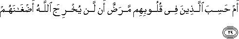 أَمْ حَسِبَ الَّذِينَ فِي قُلُوبِهِمْ مَرَضٌ أَنْ لَنْ يُخْرِجَ اللَّهُ أَضْغَانَهُمْ