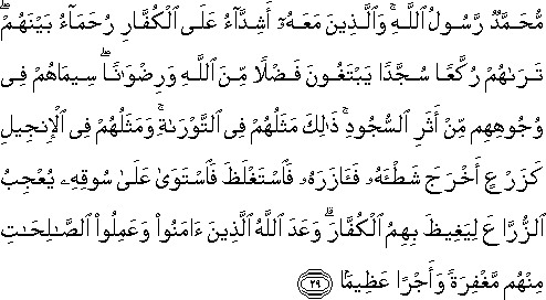 مُحَمَّدٌ رَسُولُ اللَّهِ ۚ وَالَّذِينَ مَعَهُ أَشِدَّاءُ عَلَى الْكُفَّارِ رُحَمَاءُ بَيْنَهُمْ ۖ تَرَاهُمْ رُكَّعًا سُجَّدًا يَبْتَغُونَ فَضْلًا مِنَ اللَّهِ وَرِضْوَانًا ۖ سِيمَاهُمْ فِي وُجُوهِهِمْ مِنْ أَثَرِ السُّجُودِ ۚ ذَٰلِكَ مَثَلُهُمْ فِي التَّوْرَاةِ ۚ وَمَثَلُهُمْ فِي الْإِنْجِيلِ كَزَرْعٍ أَخْرَجَ شَطْأَهُ فَآزَرَهُ فَاسْتَغْلَظَ فَاسْتَوَىٰ عَلَىٰ سُوقِهِ يُعْجِبُ الزُّرَّاعَ لِيَغِيظَ بِهِمُ الْكُفَّارَ ۗ وَعَدَ اللَّهُ الَّذِينَ آمَنُوا وَعَمِلُوا الصَّالِحَاتِ مِنْهُمْ مَغْفِرَةً وَأَجْرًا عَظِيمًا