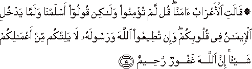 قَالَتِ الْأَعْرَابُ آمَنَّا ۖ قُلْ لَمْ تُؤْمِنُوا وَلَٰكِنْ قُولُوا أَسْلَمْنَا وَلَمَّا يَدْخُلِ الْإِيمَانُ فِي قُلُوبِكُمْ ۖ وَإِنْ تُطِيعُوا اللَّهَ وَرَسُولَهُ لَا يَلِتْكُمْ مِنْ أَعْمَالِكُمْ شَيْئًا ۚ إِنَّ اللَّهَ غَفُورٌ رَحِيمٌ قَالَتِ الْأَعْرَابُ آمَنَّا ۖ قُلْ لَمْ تُؤْمِنُوا وَلَٰكِنْ قُولُوا أَسْلَمْنَا وَلَمَّا يَدْخُلِ الْإِيمَانُ فِي قُلُوبِكُمْ ۖ وَإِنْ تُطِيعُوا اللَّهَ وَرَسُولَهُ لَا يَلِتْكُمْ مِنْ أَعْمَالِكُمْ شَيْئًا ۚ إِنَّ اللَّهَ غَفُورٌ رَحِيمٌ