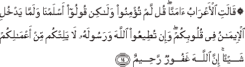 قَالَتِ الْأَعْرَابُ آمَنَّا ۖ قُلْ لَمْ تُؤْمِنُوا وَلَٰكِنْ قُولُوا أَسْلَمْنَا وَلَمَّا يَدْخُلِ الْإِيمَانُ فِي قُلُوبِكُمْ ۖ وَإِنْ تُطِيعُوا اللَّهَ وَرَسُولَهُ لَا يَلِتْكُمْ مِنْ أَعْمَالِكُمْ شَيْئًا ۚ إِنَّ اللَّهَ غَفُورٌ رَحِيمٌ