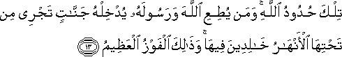 تِلْكَ حُدُودُ اللَّهِ ۚ وَمَنْ يُطِعِ اللَّهَ وَرَسُولَهُ يُدْخِلْهُ جَنَّاتٍ تَجْرِي مِنْ تَحْتِهَا الْأَنْهَارُ خَالِدِينَ فِيهَا ۚ وَذَٰلِكَ الْفَوْزُ الْعَظِيمُ