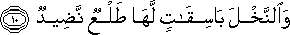 وَالنَّخْلَ بَاسِقَاتٍ لَهَا طَلْعٌ نَضِيدٌ