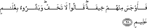 فَأَوْجَسَ مِنْهُمْ خِيفَةً ۖ قَالُوا لَا تَخَفْ ۖ وَبَشَّرُوهُ بِغُلَامٍ عَلِيمٍ