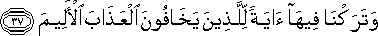 وَتَرَكْنَا فِيهَا آيَةً لِلَّذِينَ يَخَافُونَ الْعَذَابَ الْأَلِيمَ