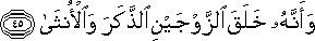 وَأَنَّهُ خَلَقَ الزَّوْجَيْنِ الذَّكَرَ وَالْأُنْثَىٰ وَأَنَّهُ خَلَقَ الزَّوْجَيْنِ الذَّكَرَ وَالْأُنْثَىٰ
