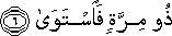 ذُو مِرَّةٍ فَاسْتَوَىٰ