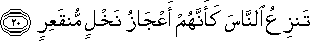 تَنْزِعُ النَّاسَ كَأَنَّهُمْ أَعْجَازُ نَخْلٍ مُنْقَعِرٍ تَنْزِعُ النَّاسَ كَأَنَّهُمْ أَعْجَازُ نَخْلٍ مُنْقَعِرٍ