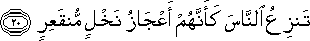 تَنْزِعُ النَّاسَ كَأَنَّهُمْ أَعْجَازُ نَخْلٍ مُنْقَعِرٍ