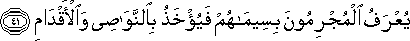 يُعْرَفُ الْمُجْرِمُونَ بِسِيمَاهُمْ فَيُؤْخَذُ بِالنَّوَاصِي وَالْأَقْدَامِ يُعْرَفُ الْمُجْرِمُونَ بِسِيمَاهُمْ فَيُؤْخَذُ بِالنَّوَاصِي وَالْأَقْدَامِ