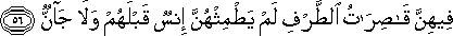 فِيهِنَّ قَاصِرَاتُ الطَّرْفِ لَمْ يَطْمِثْهُنَّ إِنْسٌ قَبْلَهُمْ وَلَا جَانٌّ