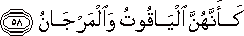 كَأَنَّهُنَّ الْيَاقُوتُ وَالْمَرْجَانُ كَأَنَّهُنَّ الْيَاقُوتُ وَالْمَرْجَانُ