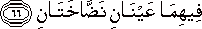 فِيهِمَا عَيْنَانِ نَضَّاخَتَانِ فِيهِمَا عَيْنَانِ نَضَّاخَتَانِ