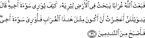 فَبَعَثَ اللَّهُ غُرَابًا يَبْحَثُ فِي الْأَرْضِ لِيُرِيَهُ كَيْفَ يُوَارِي سَوْءَةَ أَخِيهِ ۚ قَالَ يَا وَيْلَتَا أَعَجَزْتُ أَنْ أَكُونَ مِثْلَ هَٰذَا الْغُرَابِ فَأُوَارِيَ سَوْءَةَ أَخِي ۖ فَأَصْبَحَ مِنَ النَّادِمِينَ