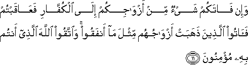 وَإِنْ فَاتَكُمْ شَيْءٌ مِنْ أَزْوَاجِكُمْ إِلَى الْكُفَّارِ فَعَاقَبْتُمْ فَآتُوا الَّذِينَ ذَهَبَتْ أَزْوَاجُهُمْ مِثْلَ مَا أَنْفَقُوا ۚ وَاتَّقُوا اللَّهَ الَّذِي أَنْتُمْ بِهِ مُؤْمِنُونَ