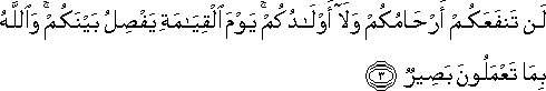 لَنْ تَنْفَعَكُمْ أَرْحَامُكُمْ وَلَا أَوْلَادُكُمْ ۚ يَوْمَ الْقِيَامَةِ يَفْصِلُ بَيْنَكُمْ ۚ وَاللَّهُ بِمَا تَعْمَلُونَ بَصِيرٌ