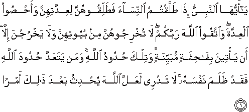يَا أَيُّهَا النَّبِيُّ إِذَا طَلَّقْتُمُ النِّسَاءَ فَطَلِّقُوهُنَّ لِعِدَّتِهِنَّ وَأَحْصُوا الْعِدَّةَ ۖ وَاتَّقُوا اللَّهَ رَبَّكُمْ ۖ لَا تُخْرِجُوهُنَّ مِنْ بُيُوتِهِنَّ وَلَا يَخْرُجْنَ إِلَّا أَنْ يَأْتِينَ بِفَاحِشَةٍ مُبَيِّنَةٍ ۚ وَتِلْكَ حُدُودُ اللَّهِ ۚ وَمَنْ يَتَعَدَّ حُدُودَ اللَّهِ فَقَدْ ظَلَمَ نَفْسَهُ ۚ لَا تَدْرِي لَعَلَّ اللَّهَ يُحْدِثُ بَعْدَ ذَٰلِكَ أَمْرًا يَا أَيُّهَا النَّبِيُّ إِذَا طَلَّقْتُمُ النِّسَاءَ فَطَلِّقُوهُنَّ لِعِدَّتِهِنَّ وَأَحْصُوا الْعِدَّةَ ۖ وَاتَّقُوا اللَّهَ رَبَّكُمْ ۖ لَا تُخْرِجُوهُنَّ مِنْ بُيُوتِهِنَّ وَلَا يَخْرُجْنَ إِلَّا أَنْ يَأْتِينَ بِفَاحِشَةٍ مُبَيِّنَةٍ ۚ وَتِلْكَ حُدُودُ اللَّهِ ۚ وَمَنْ يَتَعَدَّ حُدُودَ اللَّهِ فَقَدْ ظَلَمَ نَفْسَهُ ۚ لَا تَدْرِي لَعَلَّ اللَّهَ يُحْدِثُ بَعْدَ ذَٰلِكَ أَمْرًا
