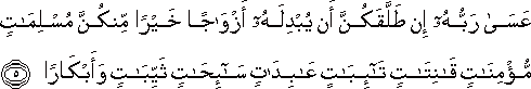 عَسَىٰ رَبُّهُ إِنْ طَلَّقَكُنَّ أَنْ يُبْدِلَهُ أَزْوَاجًا خَيْرًا مِنْكُنَّ مُسْلِمَاتٍ مُؤْمِنَاتٍ قَانِتَاتٍ تَائِبَاتٍ عَابِدَاتٍ سَائِحَاتٍ ثَيِّبَاتٍ وَأَبْكَارًا عَسَىٰ رَبُّهُ إِنْ طَلَّقَكُنَّ أَنْ يُبْدِلَهُ أَزْوَاجًا خَيْرًا مِنْكُنَّ مُسْلِمَاتٍ مُؤْمِنَاتٍ قَانِتَاتٍ تَائِبَاتٍ عَابِدَاتٍ سَائِحَاتٍ ثَيِّبَاتٍ وَأَبْكَارًا