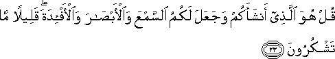 قُلْ هُوَ الَّذِي أَنْشَأَكُمْ وَجَعَلَ لَكُمُ السَّمْعَ وَالْأَبْصَارَ وَالْأَفْئِدَةَ ۖ قَلِيلًا مَا تَشْكُرُونَ