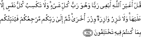 قُلْ أَغَيْرَ اللَّهِ أَبْغِي رَبًّا وَهُوَ رَبُّ كُلِّ شَيْءٍ ۚ وَلَا تَكْسِبُ كُلُّ نَفْسٍ إِلَّا عَلَيْهَا ۚ وَلَا تَزِرُ وَازِرَةٌ وِزْرَ أُخْرَىٰ ۚ ثُمَّ إِلَىٰ رَبِّكُمْ مَرْجِعُكُمْ فَيُنَبِّئُكُمْ بِمَا كُنْتُمْ فِيهِ تَخْتَلِفُونَ