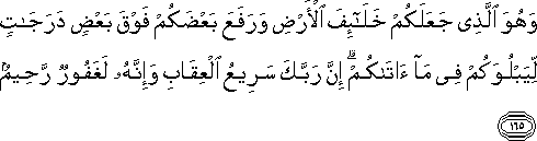 وَهُوَ الَّذِي جَعَلَكُمْ خَلَائِفَ الْأَرْضِ وَرَفَعَ بَعْضَكُمْ فَوْقَ بَعْضٍ دَرَجَاتٍ لِيَبْلُوَكُمْ فِي مَا آتَاكُمْ ۗ إِنَّ رَبَّكَ سَرِيعُ الْعِقَابِ وَإِنَّهُ لَغَفُورٌ رَحِيمٌ