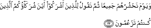 وَيَوْمَ نَحْشُرُهُمْ جَمِيعًا ثُمَّ نَقُولُ لِلَّذِينَ أَشْرَكُوا أَيْنَ شُرَكَاؤُكُمُ الَّذِينَ كُنْتُمْ تَزْعُمُونَ