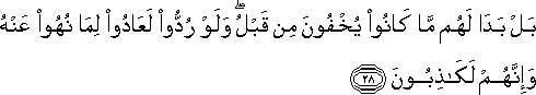 بَلْ بَدَا لَهُمْ مَا كَانُوا يُخْفُونَ مِنْ قَبْلُ ۖ وَلَوْ رُدُّوا لَعَادُوا لِمَا نُهُوا عَنْهُ وَإِنَّهُمْ لَكَاذِبُونَ