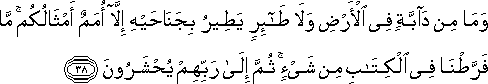 وَمَا مِنْ دَابَّةٍ فِي الْأَرْضِ وَلَا طَائِرٍ يَطِيرُ بِجَنَاحَيْهِ إِلَّا أُمَمٌ أَمْثَالُكُمْ ۚ مَا فَرَّطْنَا فِي الْكِتَابِ مِنْ شَيْءٍ ۚ ثُمَّ إِلَىٰ رَبِّهِمْ يُحْشَرُونَ