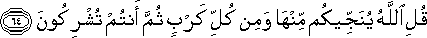 قُلِ اللَّهُ يُنَجِّيكُمْ مِنْهَا وَمِنْ كُلِّ كَرْبٍ ثُمَّ أَنْتُمْ تُشْرِكُونَ