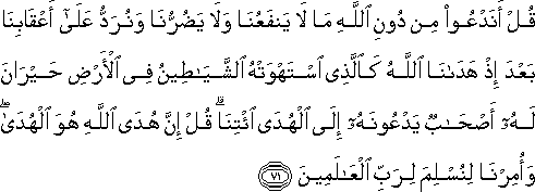 قُلْ أَنَدْعُو مِنْ دُونِ اللَّهِ مَا لَا يَنْفَعُنَا وَلَا يَضُرُّنَا وَنُرَدُّ عَلَىٰ أَعْقَابِنَا بَعْدَ إِذْ هَدَانَا اللَّهُ كَالَّذِي اسْتَهْوَتْهُ الشَّيَاطِينُ فِي الْأَرْضِ حَيْرَانَ لَهُ أَصْحَابٌ يَدْعُونَهُ إِلَى الْهُدَى ائْتِنَا ۗ قُلْ إِنَّ هُدَى اللَّهِ هُوَ الْهُدَىٰ ۖ وَأُمِرْنَا لِنُسْلِمَ لِرَبِّ الْعَالَمِينَ