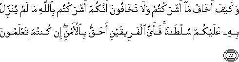 وَكَيْفَ أَخَافُ مَا أَشْرَكْتُمْ وَلَا تَخَافُونَ أَنَّكُمْ أَشْرَكْتُمْ بِاللَّهِ مَا لَمْ يُنَزِّلْ بِهِ عَلَيْكُمْ سُلْطَانًا ۚ فَأَيُّ الْفَرِيقَيْنِ أَحَقُّ بِالْأَمْنِ ۖ إِنْ كُنْتُمْ تَعْلَمُونَ