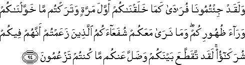 وَلَقَدْ جِئْتُمُونَا فُرَادَىٰ كَمَا خَلَقْنَاكُمْ أَوَّلَ مَرَّةٍ وَتَرَكْتُمْ مَا خَوَّلْنَاكُمْ وَرَاءَ ظُهُورِكُمْ ۖ وَمَا نَرَىٰ مَعَكُمْ شُفَعَاءَكُمُ الَّذِينَ زَعَمْتُمْ أَنَّهُمْ فِيكُمْ شُرَكَاءُ ۚ لَقَدْ تَقَطَّعَ بَيْنَكُمْ وَضَلَّ عَنْكُمْ مَا كُنْتُمْ تَزْعُمُونَ